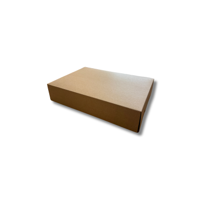Sc. DAMA 25x25xH10 ecolife 1x100pz