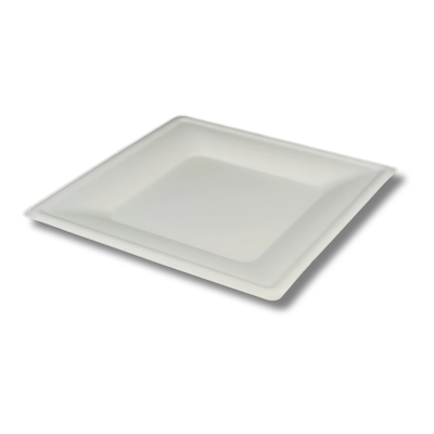 Piatto BIO NO PFAS QuadroG 26x26 1x10(50