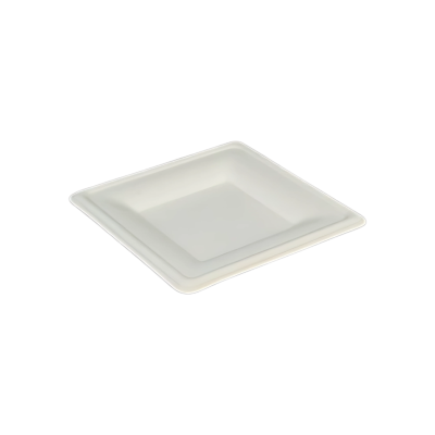 Piatto BIO Quadro P 16x16 1x20(25)