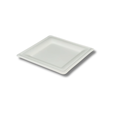 Piatto BIO Quadro M 20x20 1x40(12)